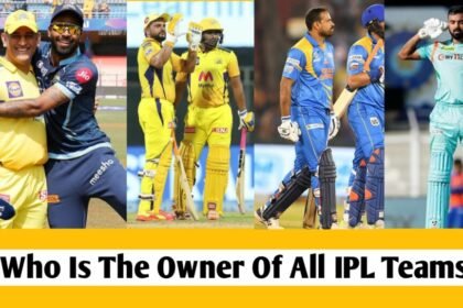 ipl team owners