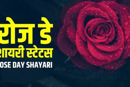 rose day shayari in hindi