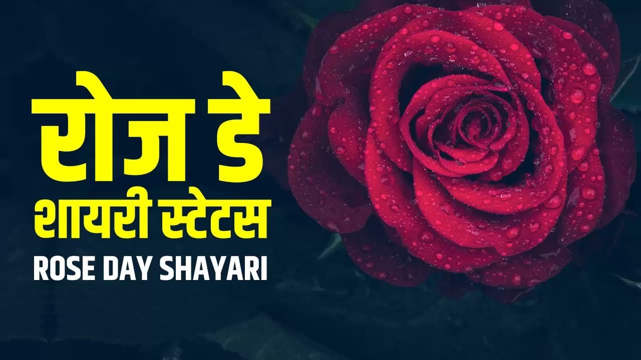 rose day shayari in hindi