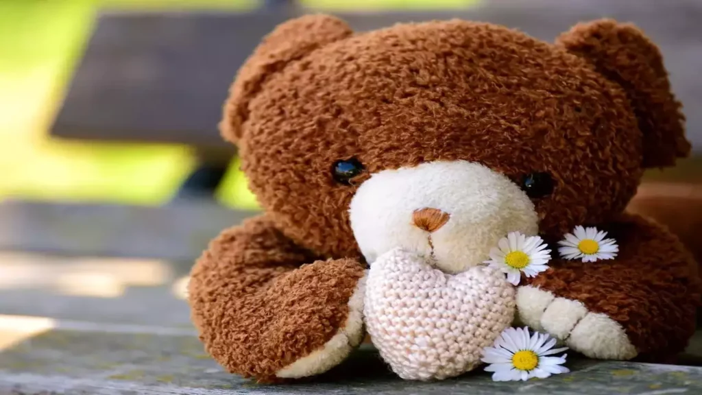 Teddy Day